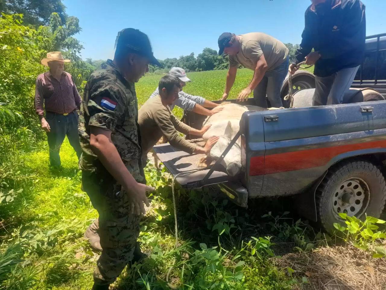 Miembros del UPP ndaje asaltaron una estancia y se llevaron una vaquilla