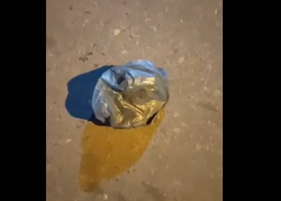 [VIDEO] Encuentran sapo vivo en una bolsa en medio de la calle