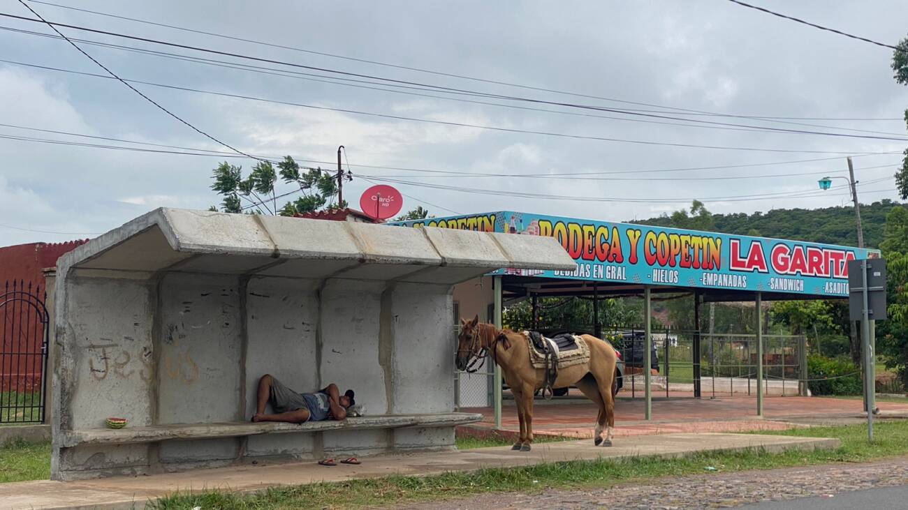 Durmió en la parada de colectivo con su caballo al lado