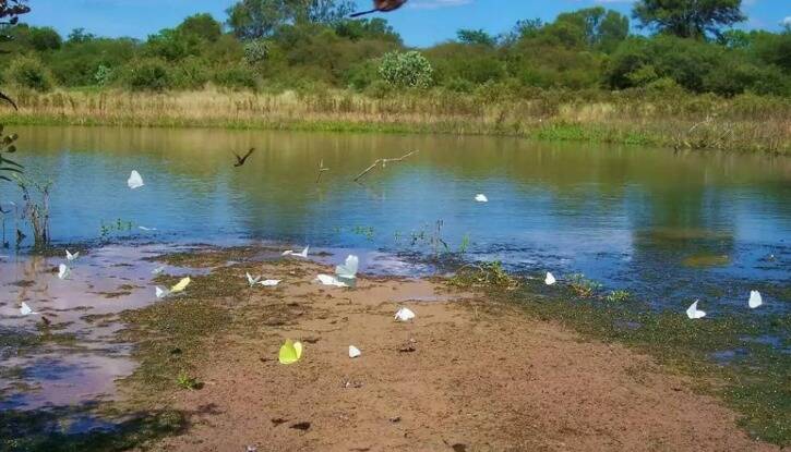 Senado rechaza proyecto que pretend a la explotaci n del Parque