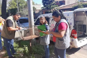 En una vivienda: rescatan a cuatro perros y encuentran muerto a otros dos