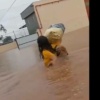 [VIDEO] Tommy, el perro que cuidó a su familia en medio de las inundaciones