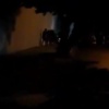 [VIDEO] Ápe ha pepe asaltaron a fans de la «Bichota»