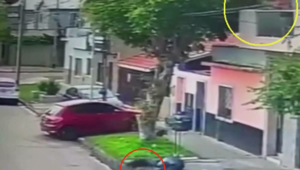 [VIDEO] ¡Le disparó a un perro porque se fue a oler la basura!: el ataque quedó filmado