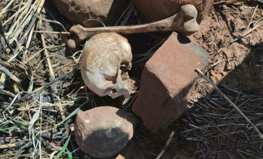 ¡De terror! Encuentran una calavera y, aparentemente, un fémur tirados en el pasto: ¿macumba?