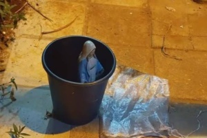 ¡Hesúkena! Dos malevos intentaron llevarse a la fuerza a una virgen pero la policía la salvó