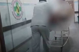 Otro ataque de perros pitbull tiene un trágico final: una persona falleció y otra quedó herida